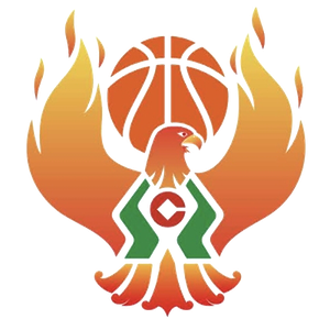 https://img.cqweigongfu.com/img/basketball/team/09b49d34027e0409a4de3295f8c71a2d.png