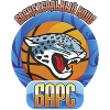 https://img.cqweigongfu.com/img/basketball/team/9008e0eb5cdc9f3e587e5838c6201832.png