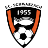 https://img.cqweigongfu.com/img/football/team/488370880779534e48b5b2d5243fb6f6.png