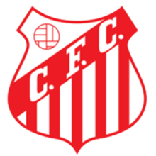 https://img.cqweigongfu.com/img/football/team/8728cd2983f210af6bbca23b86020738.png