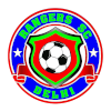 https://img.cqweigongfu.com/img/football/team/88e381551e35e7367293e86348723537.png