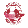 https://img.cqweigongfu.com/img/football/team/94cfab0be8aab0fc0466a24c4984df42.png