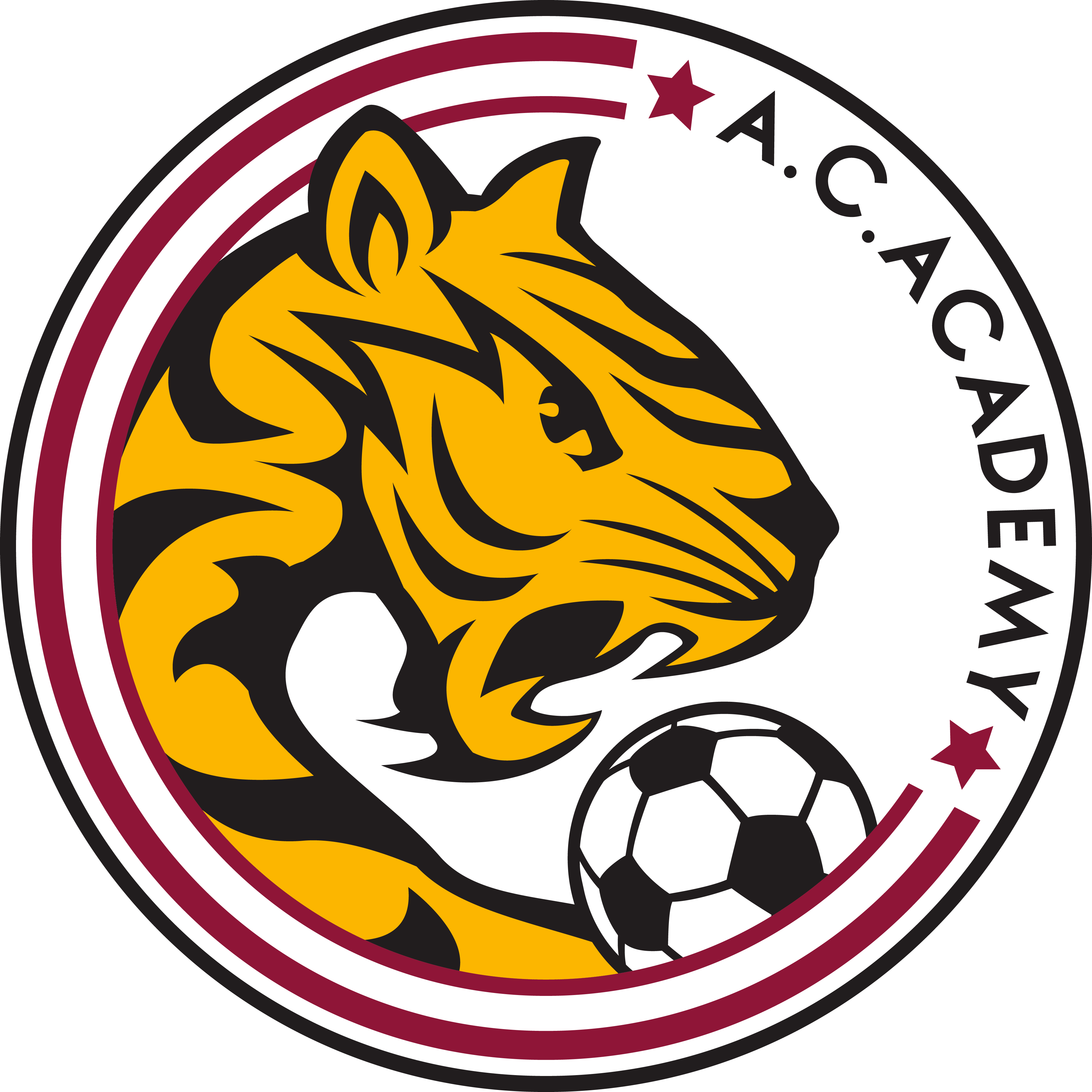 https://img.cqweigongfu.com/img/football/team/9e5b1ea3c901a469cfde86121c1adefe.png