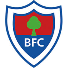 https://img.cqweigongfu.com/img/football/team/f4b90bde83ad84deda96bccf4b036a14.png